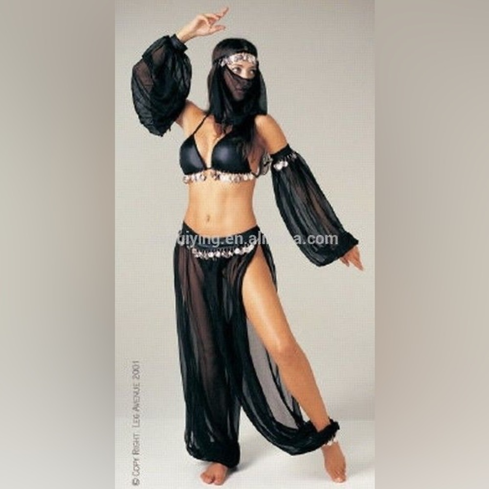 Arabian Nights Dancer Costume